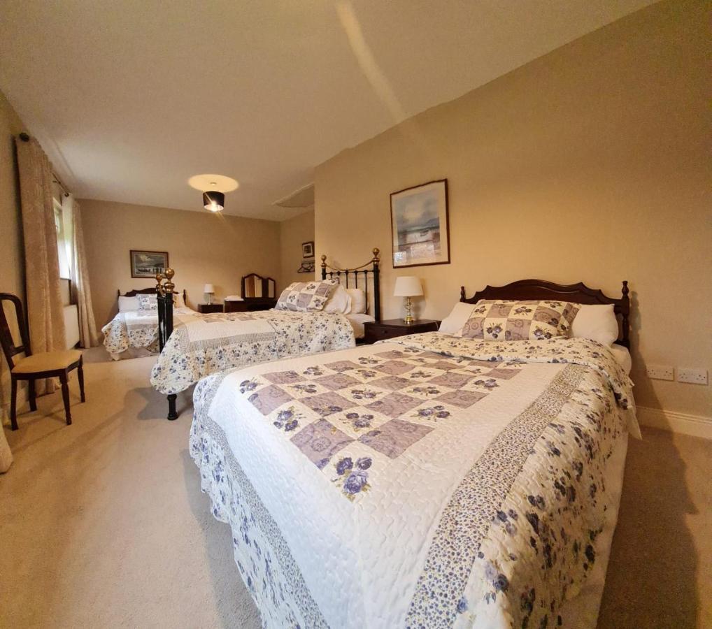 Yellow Heights Country House Tinahely 외부 사진